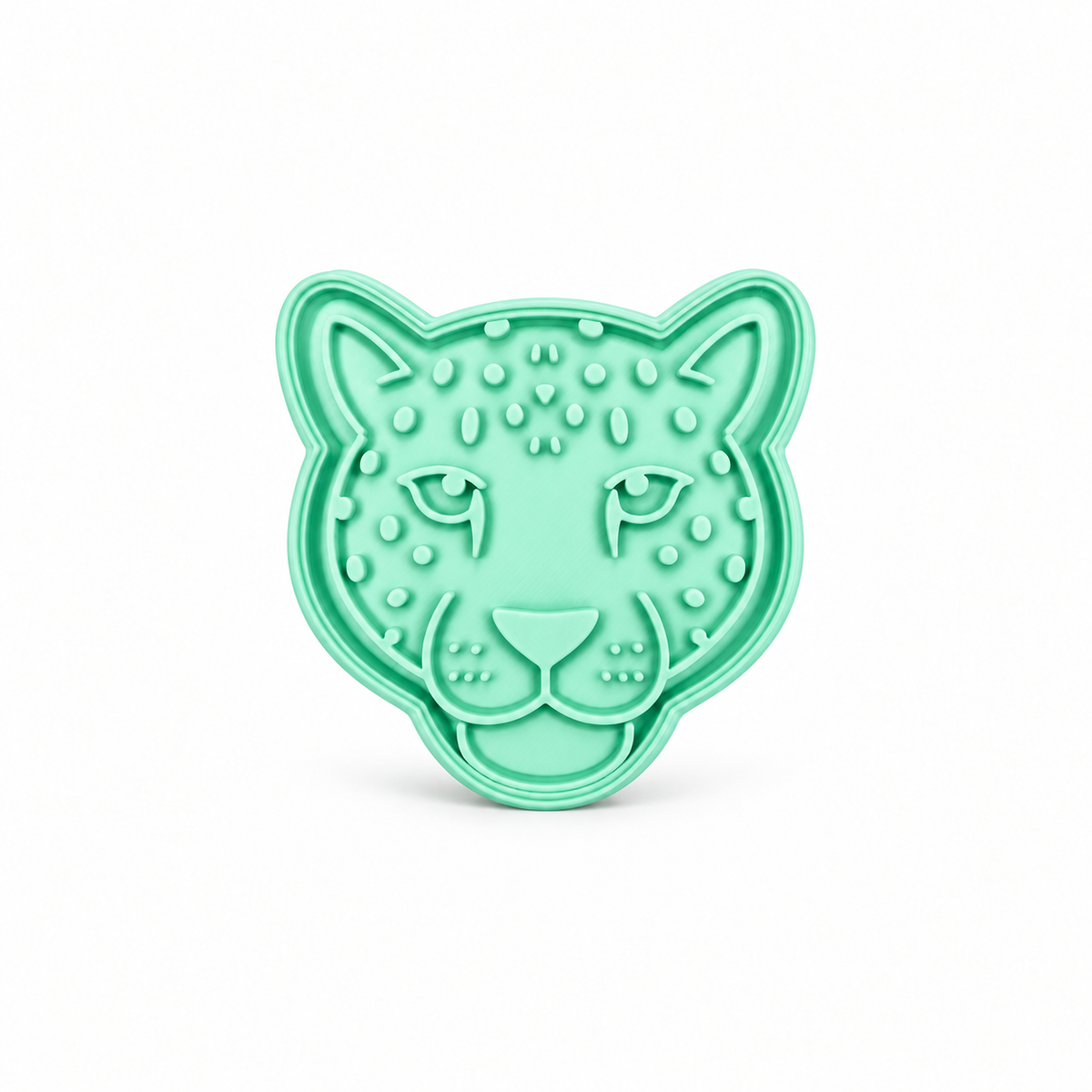 Modlica Leopard